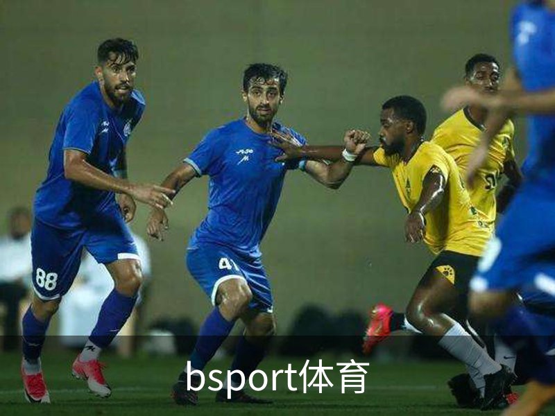关于bsport体育